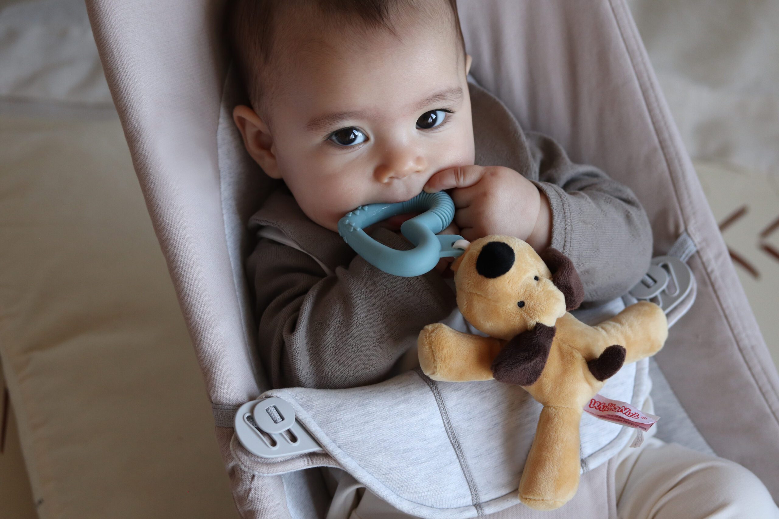 Detachable brown puppy teether